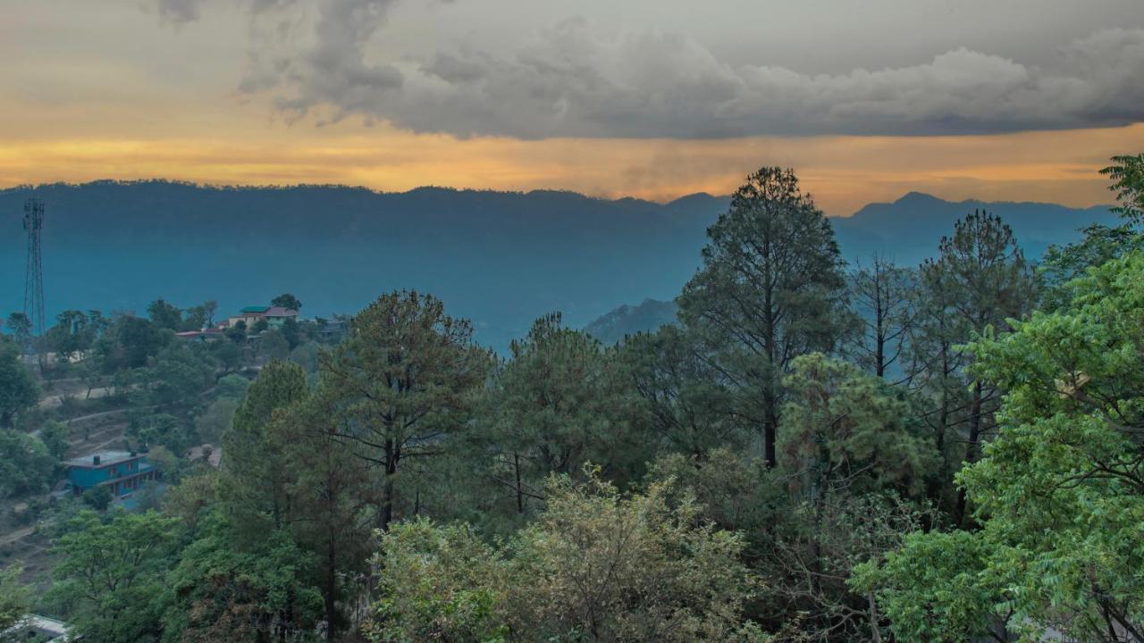 Hill View Apartments Kasauli Bagian luar foto